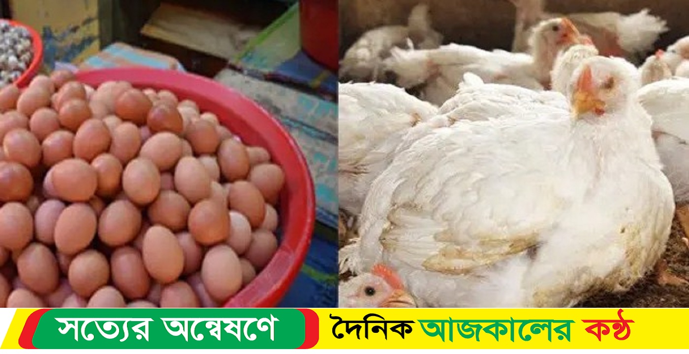 সিলেটে প্রতিদিন বাড়ছে ডিম ও মুরগির দাম