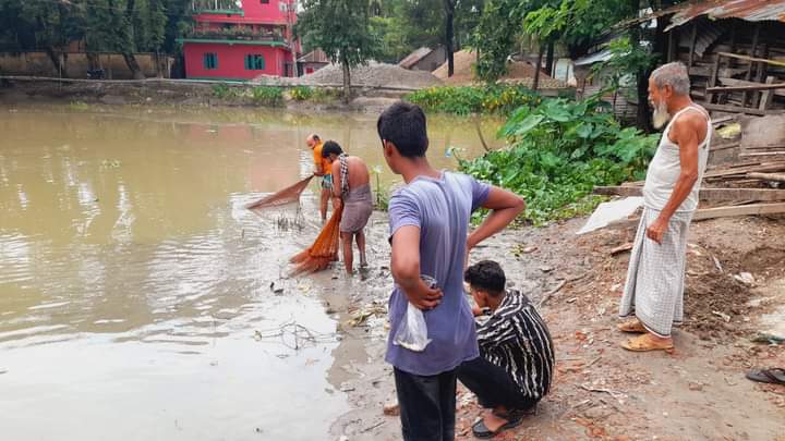 ঝালকাঠির রাজাপুরে নদীতে বিষ দিয়ে দেশী প্রজাতির মাছ নিধন