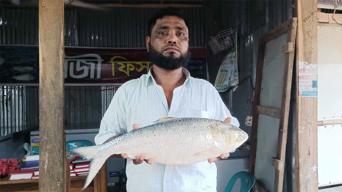 সাগরের এক ইলিশ ১৩ হাজারে বিক্রি