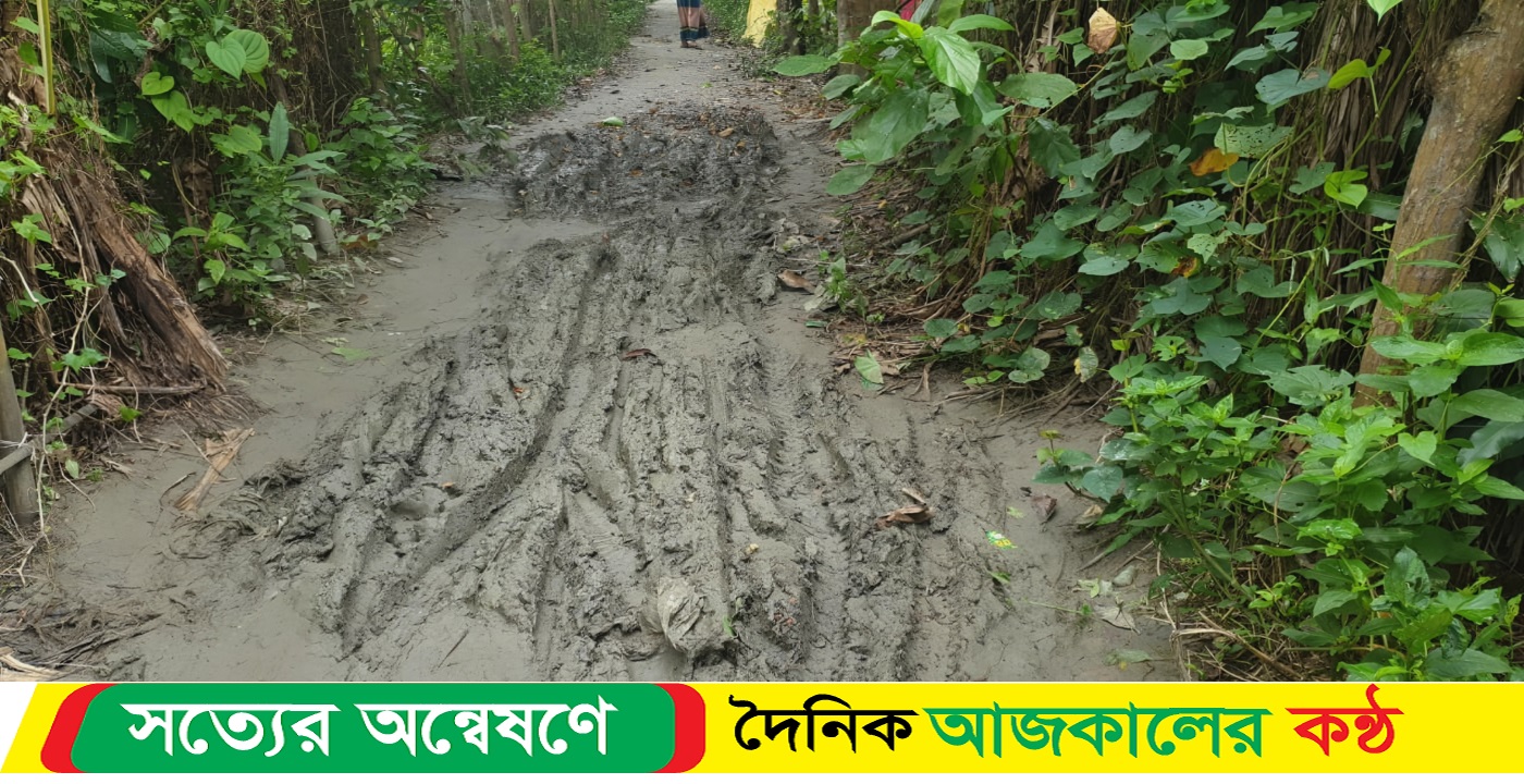 ভেদরগঞ্জ উপজেলার সখিপুর থানার চরসেন্সাস ইউনিয়ন ৭নং ওয়ার্ড বাসীর চলাচলের একমাত্র রাস্তাটির ভোগান্তিতে এলাকাবাসী
