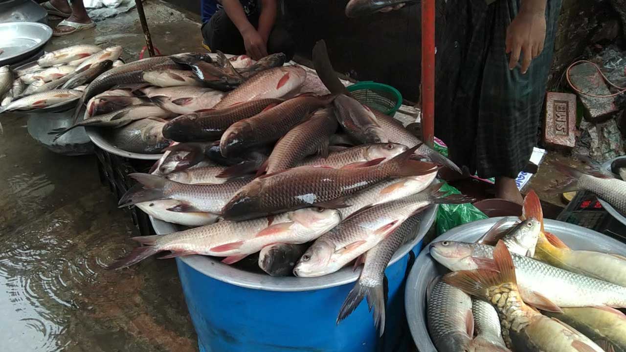 সবজি স্থিতিশীল থাকলেও ব্যতিক্রম মাছের বাজার