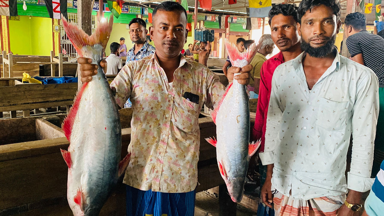 পাঙাশকে জাতীয় মাছ ঘোষণার দাবি!