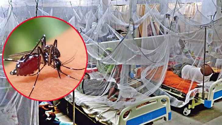 ডেঙ্গুতে একদিনে চারজনের মৃত্যু, মোট প্রাণহানি ১১৪