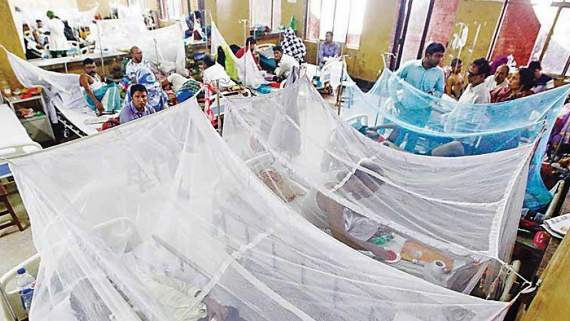 ডেঙ্গুতে আরও একজনের মৃত্যু, নতুন ভর্তি ৪৩৪