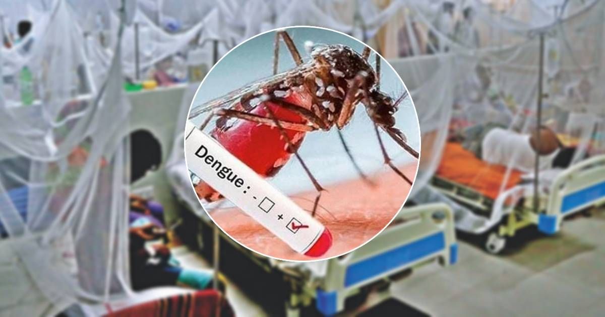 ডেঙ্গু পরিস্থিতি: ২৪ ঘণ্টায় নতুন আক্রান্ত ৩৮০, মৃত্যু শূন্য