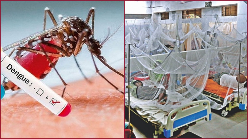 ডেঙ্গুতে প্রাণ গেল আরো ৩ জনের, হাসপাতালে ভর্তি ৪২৮