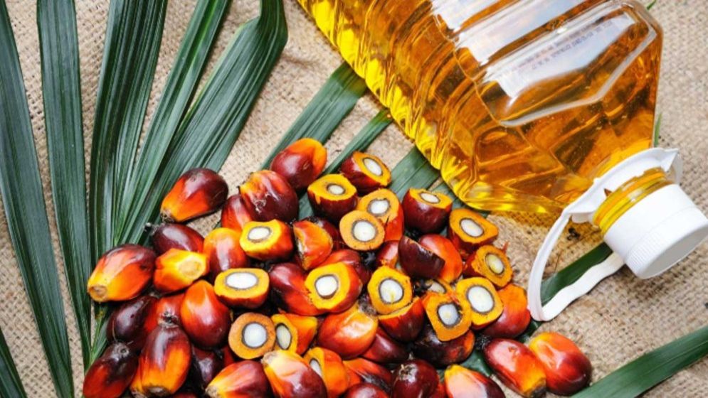 পাম অয়েলের দাম কমল ১৯ টাকা, লিটার এখন ১৫০ টাকা