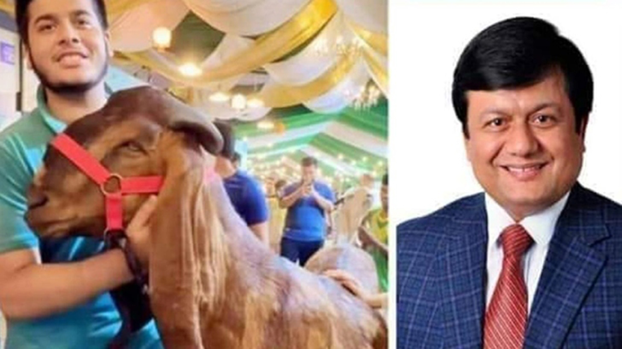 বিচারালয়ে কান্নায় ভেঙে পড়লেন মতিউর, জামিন নামঞ্জুর
