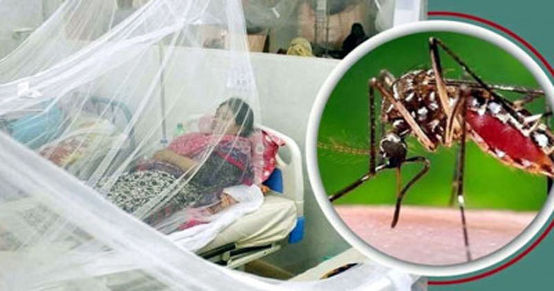 <h5>স্বাস্থ্য অধিদপ্তর</h5> <h3>ডেঙ্গুতে একদিনে ৫ মৃত্যু, হাসপাতালে ভর্তি ৬২২ জন</h3>