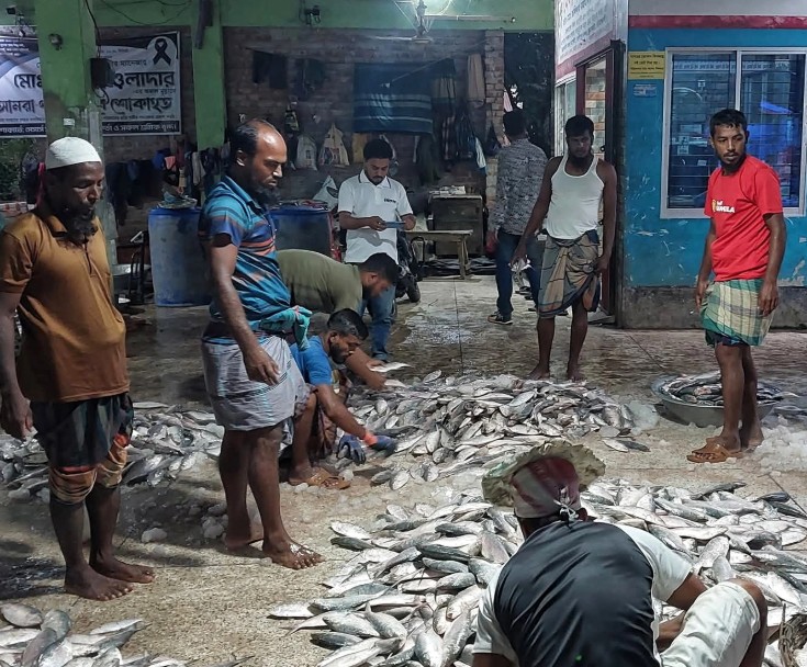 <h5>পটুয়াখালীর কলাপাড়া</h5> <h3>ইলিশের আবাসস্থলে ইলিশ নেই</h3>