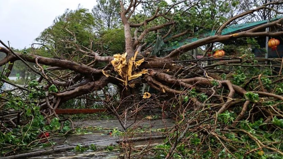 <h5>ভিয়েতনামে আঘাত</h5> <h3>টাইফুন বুয়ালোইয়ে লণ্ডভণ্ড ভিয়েতনাম, মৃত ১৯</h3>