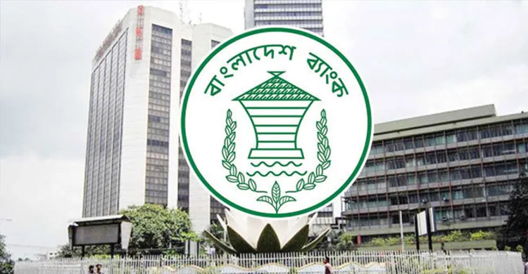 <h5>এনবিএফআই</h5> <h3>৯ আর্থিক প্রতিষ্ঠান বন্ধের সিদ্ধান্ত: লুটপাটে ধসে পড়া এনবিএফআই খাত</h3>