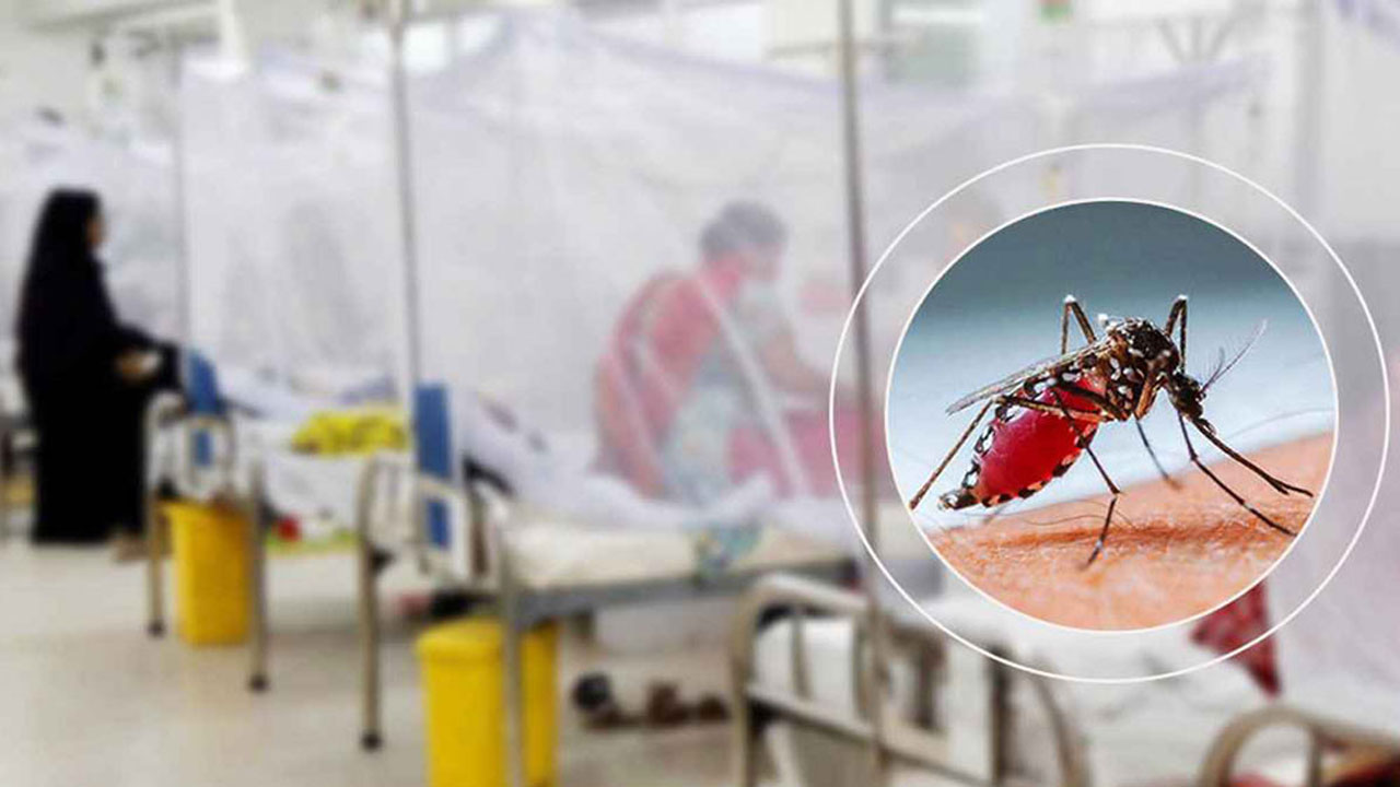 গত ২৪ ঘণ্টায় ডেঙ্গুতে ৪ মৃত্যু, হাসপাতালে ভর্তি ১১৪৩