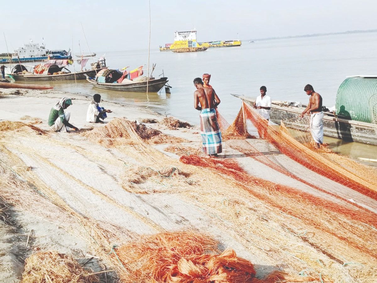 <h5>মা ইলিশ</h5> <h3>ইলিশ রক্ষায় রাজবাড়ীতে কঠোর অভিযান শুরু</h3>