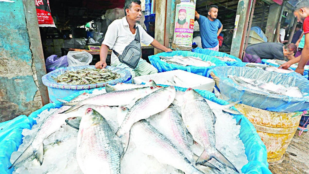 আকাশছোঁয়া ইলিশের দাম