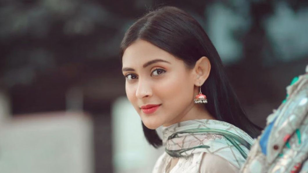 আত্মসমর্পণের আগে ফেসবুকে নিজের অবস্থান পরিষ্কার করলেন মেহজাবীন