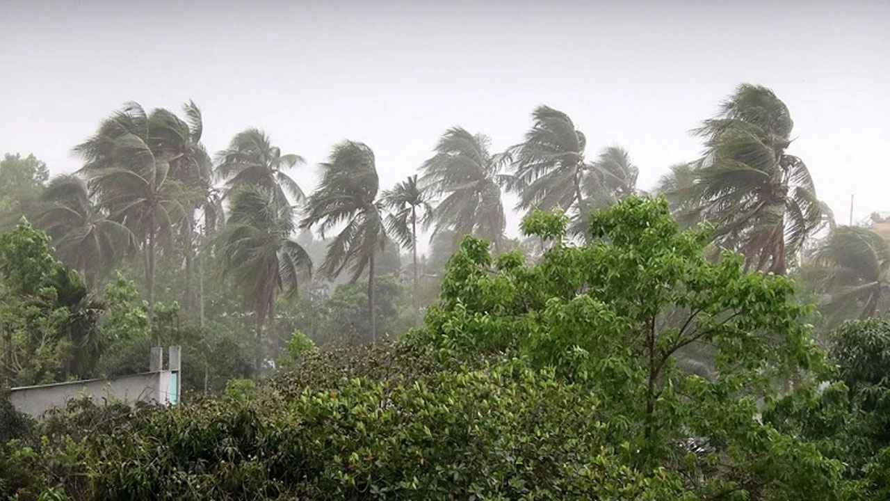 দুপুরের মধ্যে ৬ জেলায় ৮০ কিমি বেগে ঝড়ের আভাস