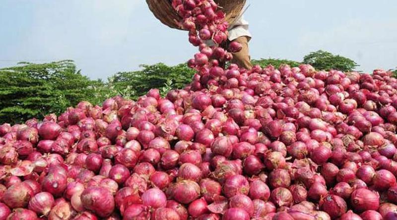 আমদানির ঘোষণায় একদিনেই পেঁয়াজের দাম কমলো ৪০ টাকা