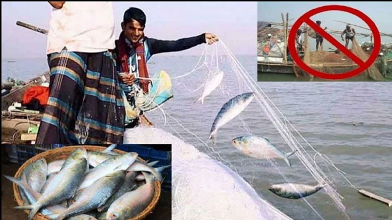 মধ্যরাত থেকে পদ্মা–মেঘনায় দুই মাসের মাছ ধরায় নিষেধাজ্ঞা