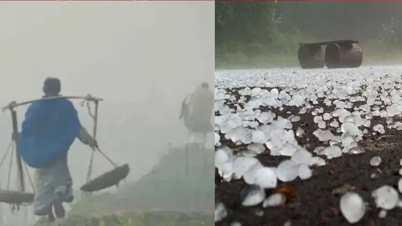 ফেব্রুয়ারিতে ফের শৈত্যপ্রবাহ, তাপমাত্রা নামতে পারে ৮ ডিগ্রিতে