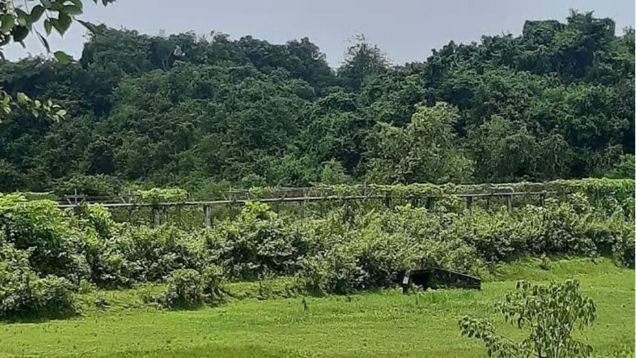 উখিয়া সীমান্তে মাইন বিস্ফোরণ: রোহিঙ্গা যুবক গুরুতর আহত, বাড়ছে নিরাপত্তা উদ্বেগ