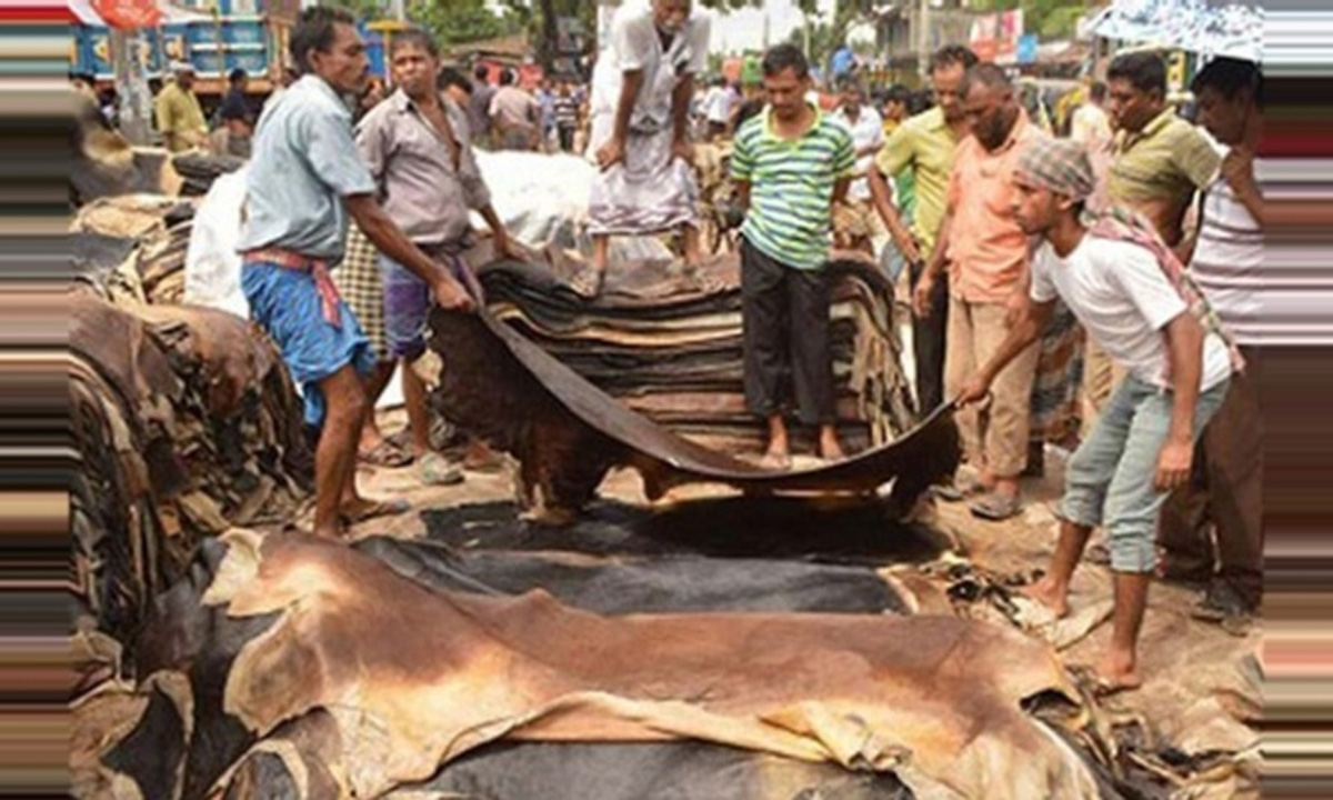 চামড়ার নতুন দাম ঘোষণা, ঈদে বিনামূল্যে লবণ দেবে সরকার