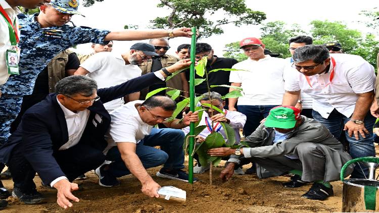 দেশব্যাপী ২৫ কোটি বৃক্ষরোপণ কর্মসূচির উদ্বোধন করলেন প্রধানমন্ত্রী তারেক রহমান