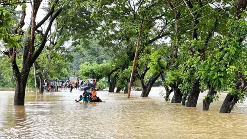 চট্টগ্রামে সাপের কামড়ে আহত অন্তত ৭৫ জন, বন্যাকবলিত এলাকায় সতর্কতা জোরদার