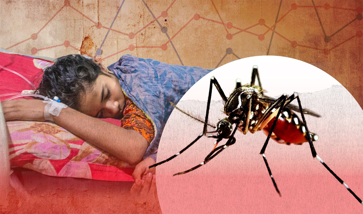 ডেঙ্গুতে আরও ৪ জনের মৃত্যু, হাসপাতালে ভর্তি ১ হাজার ৯৭২