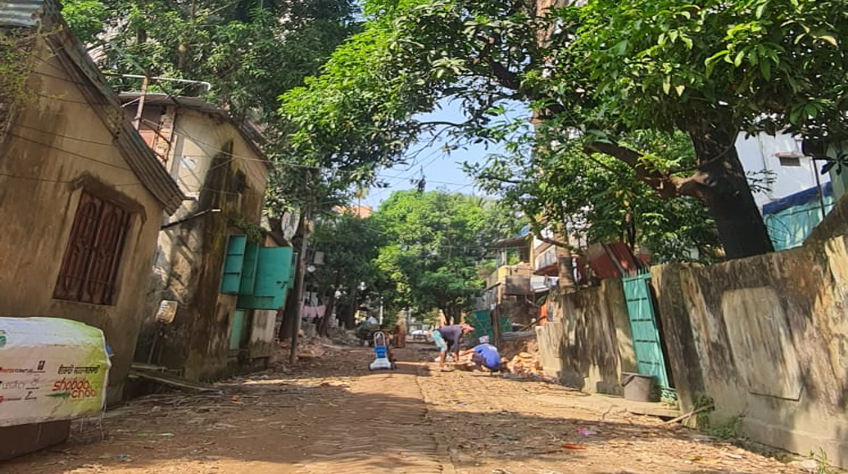 চট্টগ্রামে সড়ক উন্নয়নের নামে ৬০ গাছ কাটার উদ্যোগ, ক্ষোভ